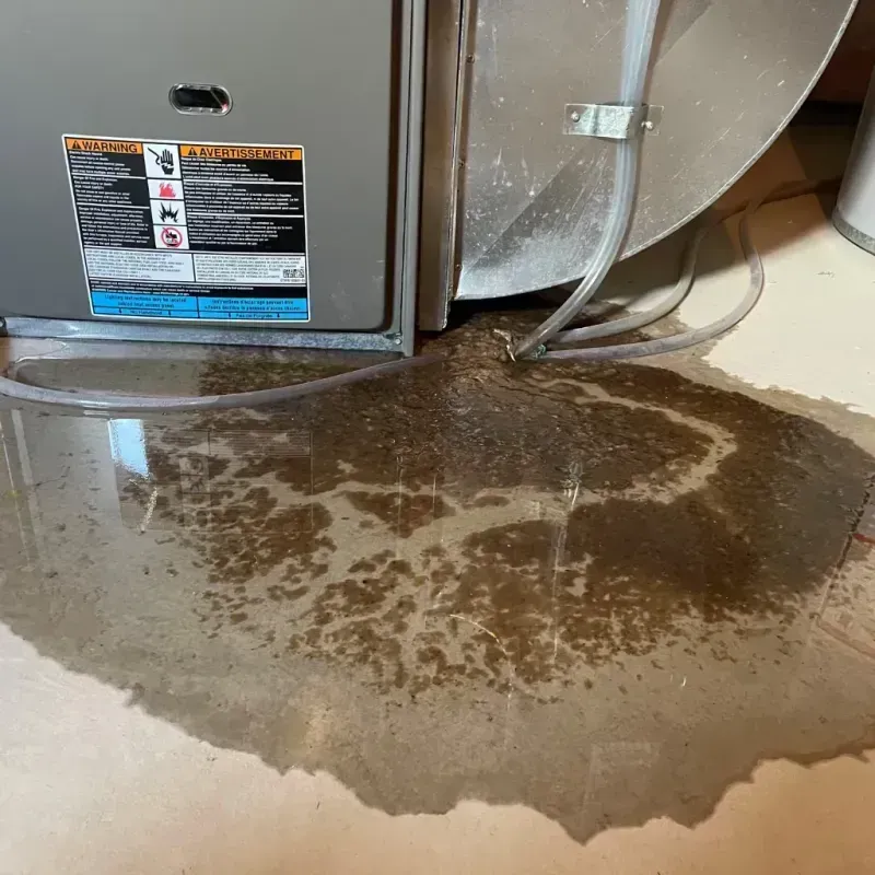 Appliance Leak Cleanup in Hopkinton, NH